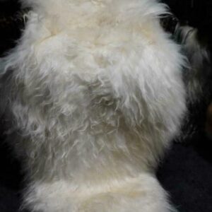 A Beautiful Snow White Double Skin Icelandic Sheepskin Rug /Throw