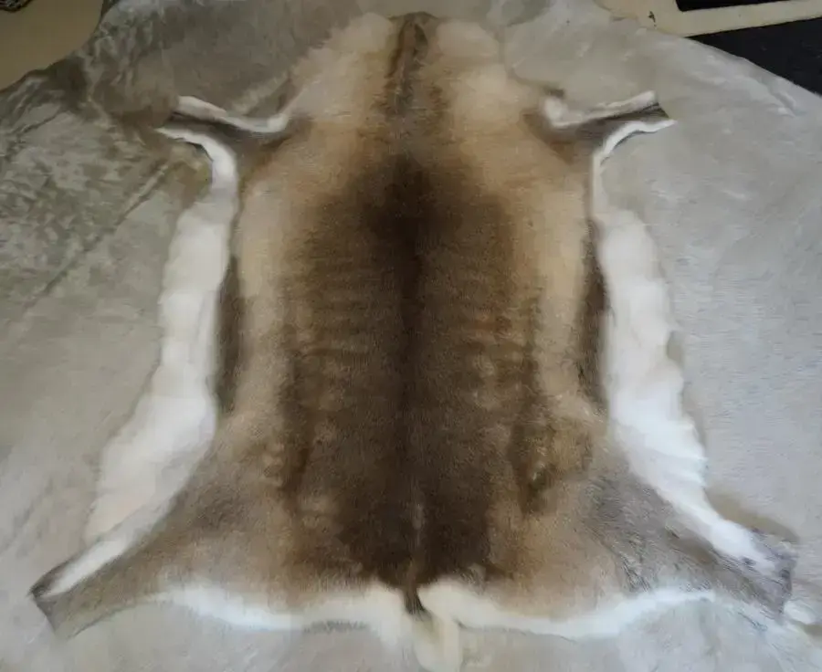 A Rare & Beautiful Reindeer Calfskin Rug