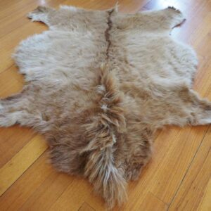 A Rare and Wonderful Beautiful Warm Tan Long Thick & Luxurious Genuine Icelandic Horseskin Rug