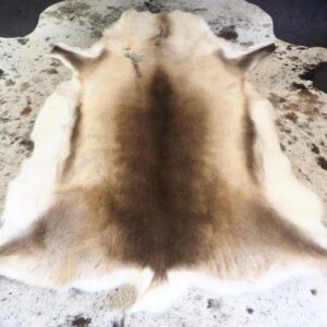 Stunning and Distinctive Markings - Beautiful Colourings framed with White - A Superb Superior Grade Reindeer Hide