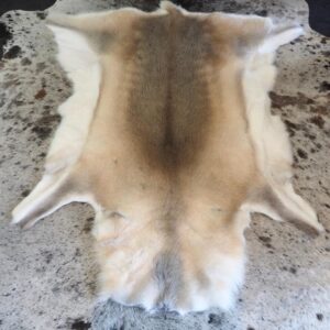 A Wonderful Sost Coat of Gentle Tones framed with White - A Superb  Superior Premium Reindeer Calfskin Rug