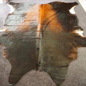 A Totally Massive and very beautiful Black and Tan  Cowhide Rug