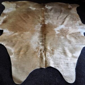 A Wonderful Golden Sheen that catches the light - A Beautiful Premium Quality Cowhide Rug