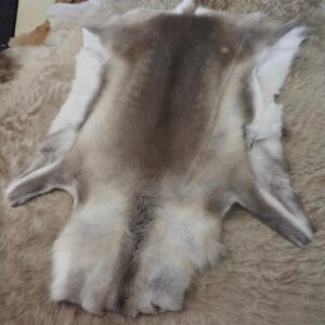 An Amazing Coat with Beautiful Gentle Markings - A Genuine Reindeer Pelt  - From Finland to You !!