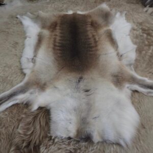 Beautiful Markings and Soft Tones - A Wonderful Reindeer Hide - From Finland to YOU!!