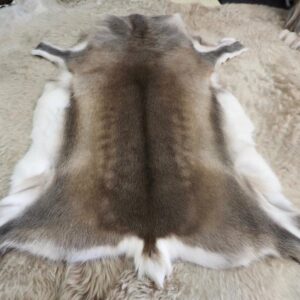 A Lovely Soft Even Coat  - A Beautiful Traditionally Farmed Reindeer Hide - From Finland To You !!