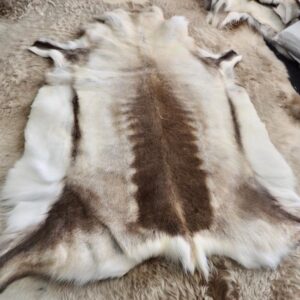 A Naturally Wonderful Premium Grade Reindeer Pelt - From Finland to you