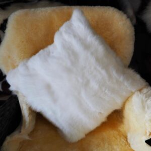 Snow White and Beautiful - 40cm Lapin Cushion Cover