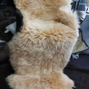 A Lovely Soft Warm Champagne Toned XL Double Skin Sheepskin Rug   -A Genuine Australian Sheepskin Rug