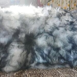 Totally Gorgeous a 2100mm x 1100mm Dark Tipped Genuine Long Wool Icelandic Sheepskin Rug /Throw