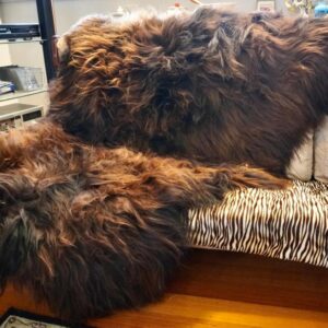 An Amazing 2000mm x 1250mm Natural Rusty Black Long Wool Icelandic Sheepskin Rug /Throw