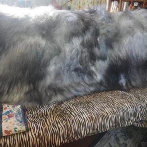 Natural Grey- 1900mm x 1300mm - A Stunning  Long Wool Icelandic Sheepskin Rug/ Throw