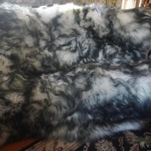 A Huge and Amazing 2150mm x 2150mm Dark Tipped Genuine Icelandic Sheepskin Rug /Throw