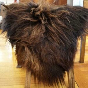 A Unique and Beautiful Natural Rust & Black Long Wool Icelandic Sheepskin Rug