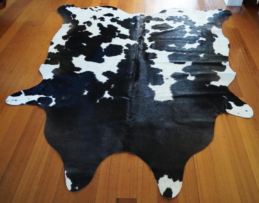 Beautiful Smooth & Glossy Coat - Near Symmetrical Markings - A ...