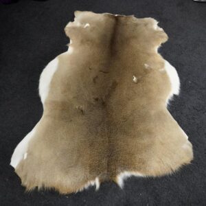 A Naturally Beautiful North American Deerskin Rug
