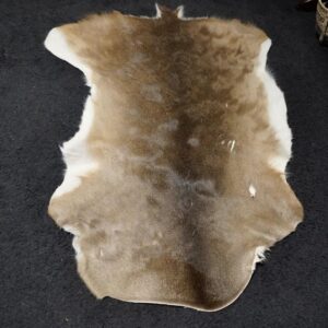 A Beautiful North American Deer Skin Rug - Natural Decor