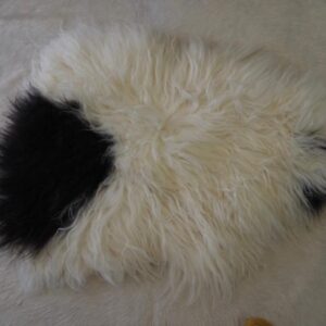 Running Wild Since 874AD - A Beautiful Genuine  Icelandic Sheepskin Rug