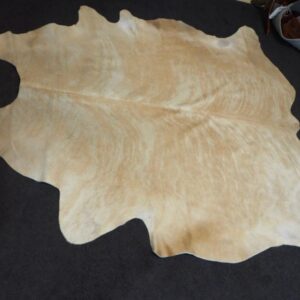 A Beautiful and Unusual Ginger Hide and Cream Hide - A Soft Coat - Superbly Tanned - A Premium Hand Selected Cowhide Rug