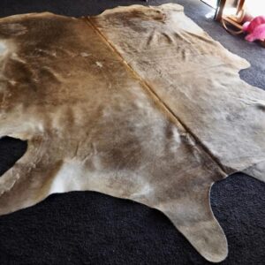 A Massive Hide with a Beautiful Winter Coat that catches the light - A Statement Cowhide Rug