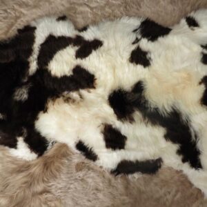 A Wonderful Naturally Coloured Brown and White Rare Breed Sheep - Sheepskin RUg