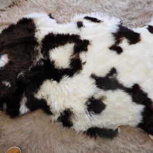 A Beautiful Rare Breed "Jacobs Sheep" Naturally Brown and White Sheepskin Rug