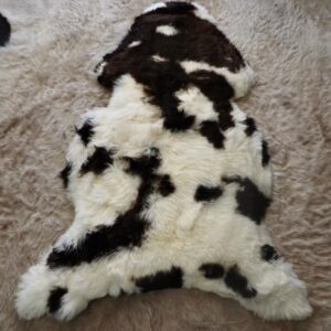 A Beautiful " Jacobs Sheep" Rare Breed Sheepskin Rug