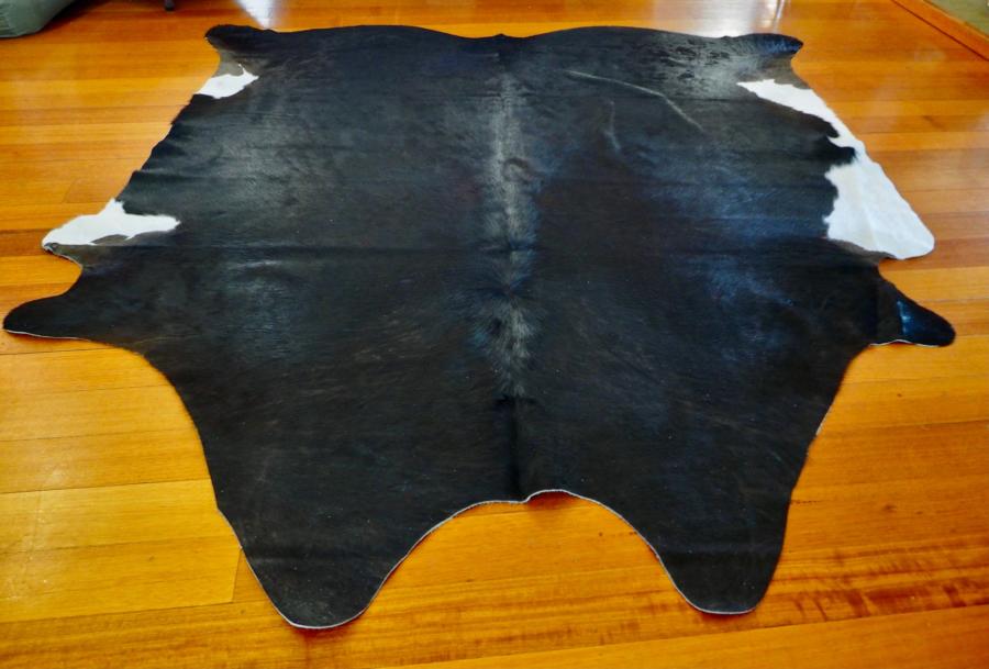 A Lovely Friesian Cross Natural Black Flanked with White - Big ...