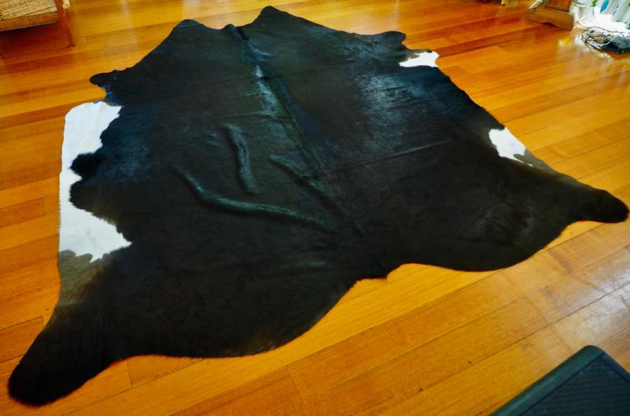 A Lovely Friesian Cross Natural Black Flanked with White - Big ...