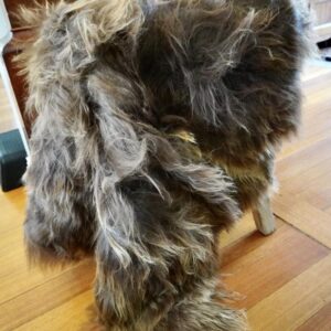 Beautiful Natural Sun Drenched Brown Long Wool Icelandic Sheepskin Rug - Measuring Approx 1100mm x 1100mm