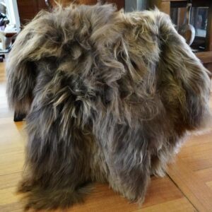 A Gorgeous Sun Kissed Natural Brown Long Wool Icelandic Sheepskin Throw Rug