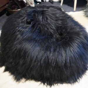 A Long Wool Icelandic Sheepskin JUNIOR  Beanbag - Comfy and Fun From Baby To Child