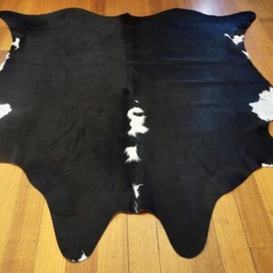 A Beautiful Jet Black Hide broken with Bright White Markings - a Classic Delight