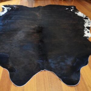 A Dark Brindle with Gorgeous Ermine Flanks  - A Glossy Coat - A Lovely Shape