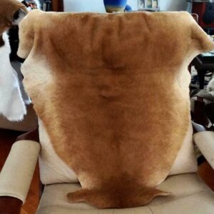 A Naturally Beautiful Kangaroo Pelt