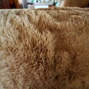 Naturally Beautiful Australian Kangaroo Pelt Rug/Throw