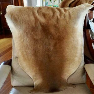 A Beautiful Natural Australian Kangaroo Pelt Rug