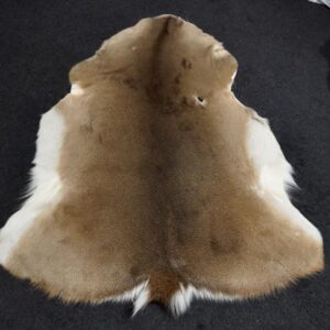 Natural North American Deer Skin