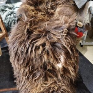 Sun Kissed Brown - A Stunning Extra  Long Icelandic Sheepskin Rug