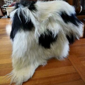Stunning Markings - A Gorgeous Rug - A Beautiful Black & White Icelandic Sheepskin Rug