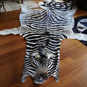 A Touch of the Wild - A Genuine Fullskin Zebra Hide