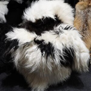 BEautiful Big Natural Black in White Long Wool Icelandic Sheepskin Rug