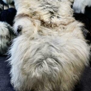 A Stunning Soft Grey Natural Long Wool Icelandic Sheepskin Rig