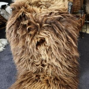 Sun Kissed Natural Brown Double Extra Long Icelandic Sheepskin Rug