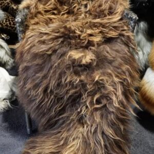 Wild ‡ Shaggy - A Gorgeous Natural Brown Extra Long Icelandic Sheepskin Rug