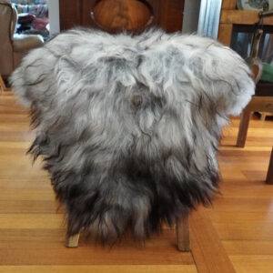 Wild & Wooly - A Beautiful Natural Grey Long Wool Icelandic Sheepskin Rug