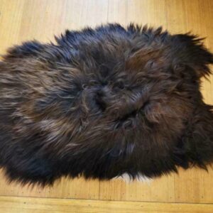 Rust & Black touched with White - A Naturally Beautiful Icelandic Sheepskin Rug
