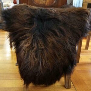 Wild & Wooly - A Beautiful Two Tone Long Wool Icelandic Sheepskin Rug