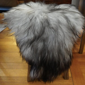 Thick Soft & Luxurious - An Icelandic Sheepskin Rug