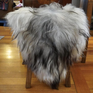 From the Cold North - A Long Wool Icelandic Sheepskin Rug